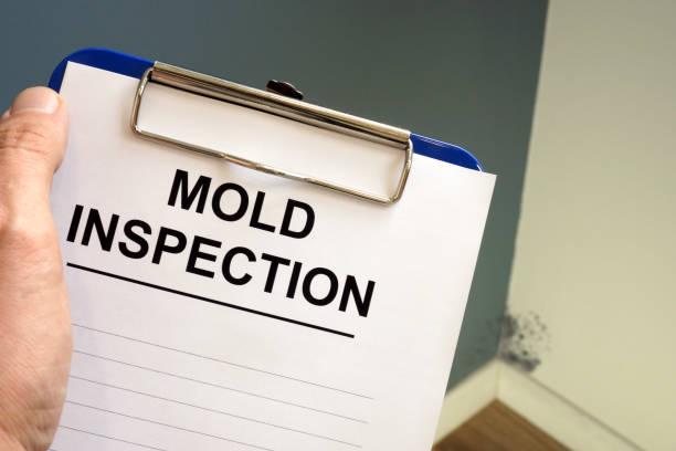 Best Real Estate Mold Inspection  in Sand Lake, MI